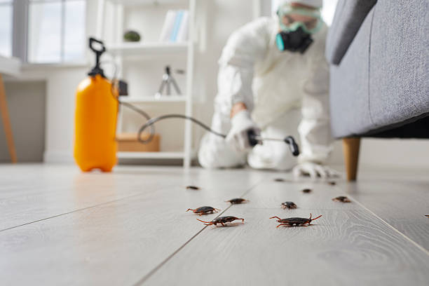 Commercial Kitchen Cockroach Control in Millville